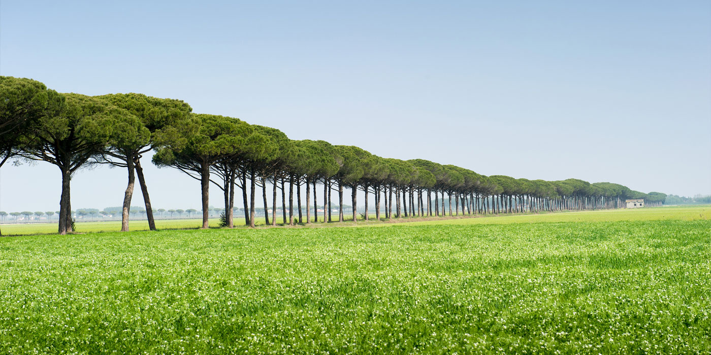 ANDIAMOINBICI Visita all azienda agricola